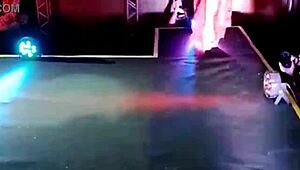 Latina Muses Parade With Big Asses And Tits