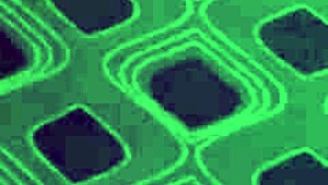 tonights escort venita performs muff diving blowjob assfucking