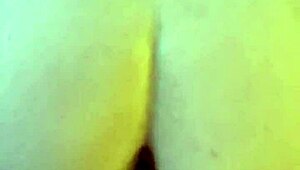 Rough phone sex with horny milf couple