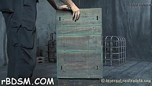 Zagagovaná krasavice zvednuta před hrubým šťoucháním v dominančním zápase