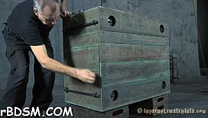 Zagagovaná krasavice zvednuta před hrubým šťoucháním v dominančním zápase