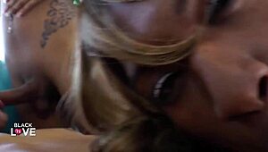 Tip norocos se distrează sălbatic cu 3 shemale superbe