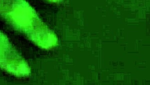 I got bent over and fucked hard in the shower