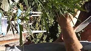 Intense Suck and Fuck in 420 Patch.