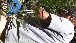 420'de Yoğun Sakso ve Gay Sikiş Patlaması