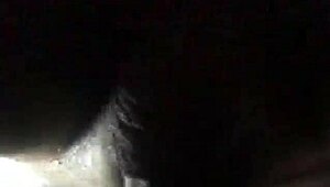 Ace boogie shows off her tight wet pussy and big ass in sensual play.