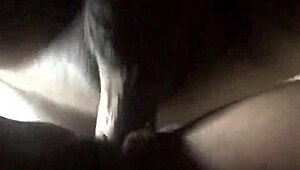 Ace boogie shows off her tight wet pussy and big ass in sensual play.