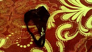 Neighbor's dirty clothes reveal masturbation secrets