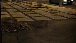 latin teen explores extreme bondage with subtle milking touches