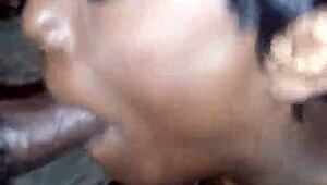 Oral activity recording from october 23 2017 at 6 41 pm