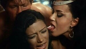 Horny group sex with anal and assfucking