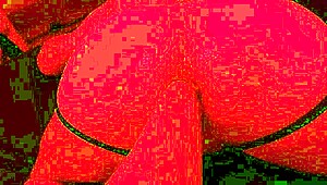 Ffuck therapy session turns into intense fisting for these gay guys. 😈💥