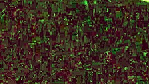 Magaly Sea Exposes Her Pussy In Voyeur Scene