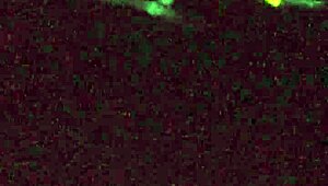 Magaly Sea Exposes Her Pussy In Voyeur Scene