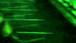 Having Sex On The Road