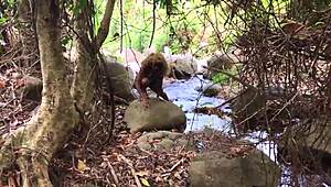 Nina rivera sucks don's cock by the riverside