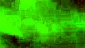 Pecinta gabung latihan fizikal sama-sama.