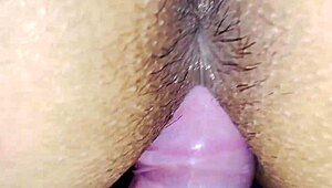 Sharing bed with stepsis turns wild. I slide my dick into her pussy as misssimran moans