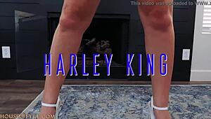 Big Oiled Butts! Harley King and Will Pounder Slam in New Scene