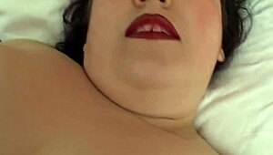 Lembu gemuk goda kucing basahnya solo