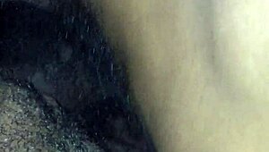 Fuck that shorty in the car!