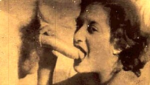 Retro porn with blowjob and hairy pussy