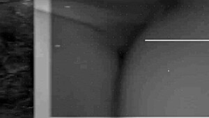 Young Brazilian Prostitute Fucks Cock With Ass And Oral