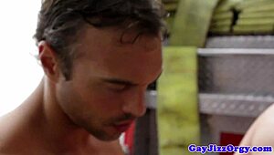 Bomba Gay Amuk Aksi Batang Liar