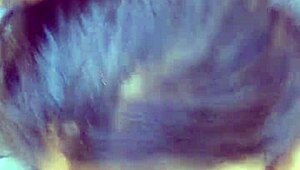 my girlfriend sucks my big cock while wanting to fuck