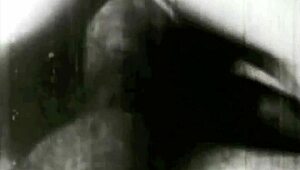 Dark Lantern Entertainment Unveils Two Centuries of Vintage Hairy Porn