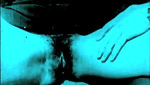 Discover vintage retro antiques with hairy details