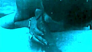 Discover vintage retro antiques with hairy details