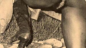 डार्क लैंटर्न प्राचीन सेक्सी स्वीकारोक्तियाँ उजागर करता है