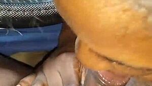 tiny car blowjob leads to cum