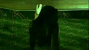 Bbw girls compilation with massive tits on display