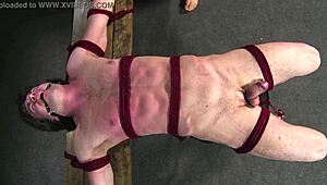 Young guys endure intense rope bondage and edging sessions