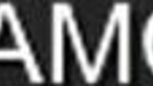 fantasy anime dream sequence unfolds