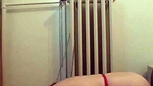 European Slave Dog Training