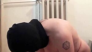 European Slave Dog Training