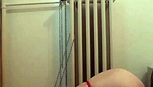 European Slave Dog Training