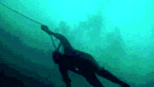 Dark Lantern Entertainment Unveils The Dragonfly Mystery