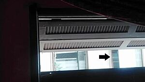 Flashing Naked at Window for Curious Lady Neighbors Feels So Wild