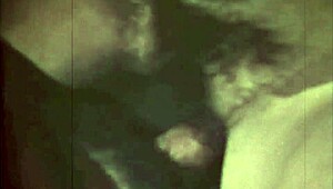 Dark Lantern Entertainment Unveils The Dragonfly Mystery