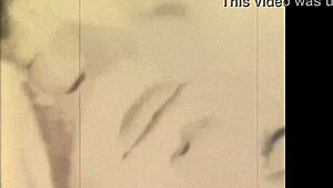 Dark Lantern Entertainment Unveils The Dragonfly Mystery