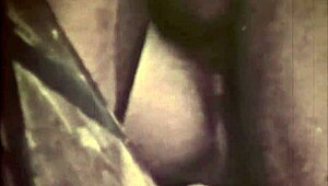 Dark Lantern Entertainment Unveils The Dragonfly Mystery