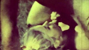 Dark Lantern Entertainment Unveils The Dragonfly Mystery