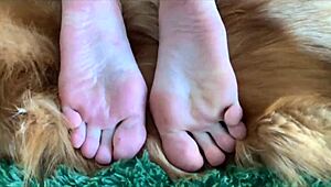 sexy feet n toes... nika dominatrix owns me, ya know?