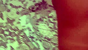 luxury escort for good sex no fuss