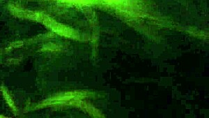 Stephanie's Homemade Sucking Session with Mature Teen