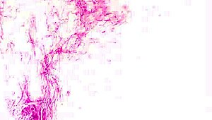 Homo läski kundi sormittaa perseensä julkisella itsetyydytyssessiolla